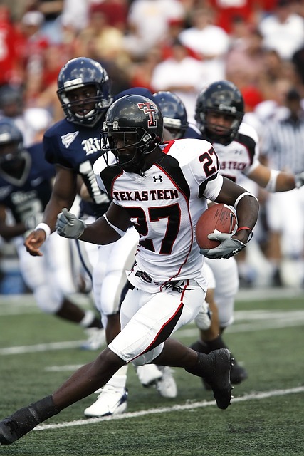 而维尼修斯 而维尼修斯